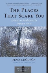 book The places that scare you: a guide to fearlessness in difficult times