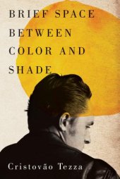 book Brief Space Between Color and Shade