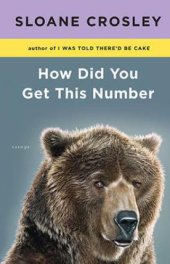 book How did you get this number: essays