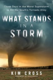 book What Stands in a Storm