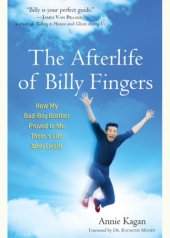 book The afterlife of Billy Fingers: how my bad-boy brother proved to me there's life after death