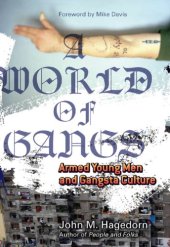 book A world of gangs armed young men and gangsta culture