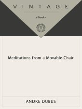 book Meditations from a movable chair: essays