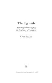 book The big push: exposing and challenging the persistence of patriarchy