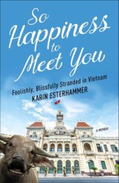 book So Happiness to Meet You: Foolishly, Blissfully Stranded in Vietnam