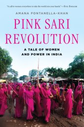 book Pink sari revolution: a tale of women and power in india