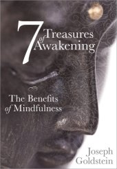 book 7 treasures of awakening: the benefits of mindfulness