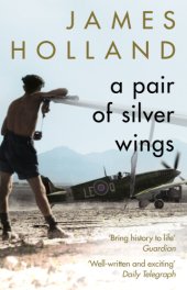 book A Pair of Silver Wings