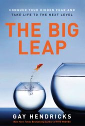 book The Big Leap: Conquer Your Hidden Fear and Take Life to the Next Level