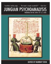 book Jungian psychoanalysis: working in the spirit of C.G. Jung