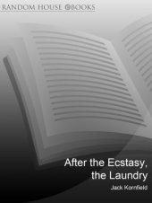 book After the Ecstasy, the Laundry