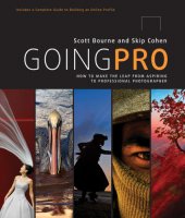 book Going pro: how to make the leap from aspiring to professional photographer: the photographer's complete guide to building an online profile from the ground up