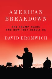 book American Breakdown: The Trump Years and How They Befell Us