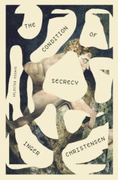 book The condition of secrecy: essays