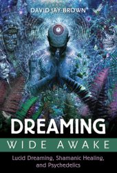 book Dreaming wide awake: lucid dreaming, shamanic healing, and psychedelics