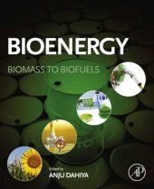 book Biomass to Biofuels