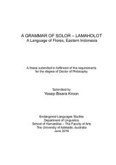 book A Grammar of Solor-Lamaholot (A Language of Flores - Eastern Indonesia))