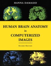 book Human brain anatomy in computerized images