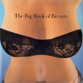 book The big book of breasts 3D: the modern age of touchable curves