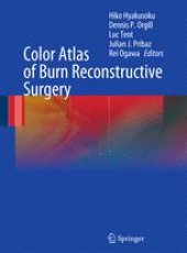 book Color Atlas of Burn Reconstructive Surgery