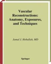 book Vascular Reconstructions: Anatomy, Exposures, and Techniques