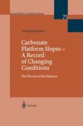 book Carbonate Platform Slopes — A Record of Changing Conditions: The Pliocene of the Bahamas