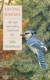 book Saving Jemima: life and love with a hard-luck jay