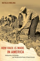 book How race is made in America immigration, citizenship, and the historical power of racial scripts