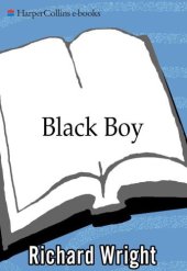 book Black boy: American hunger: a record of childhood and youth