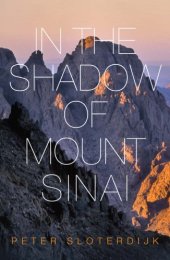 book In the Shadow of Mount Sinai