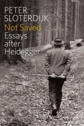 book Not saved: essays after Heidegger