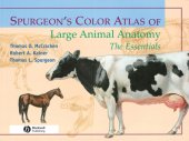 book Spurgeon's Color Atlas of Large Animal Anatomy: the Essentials