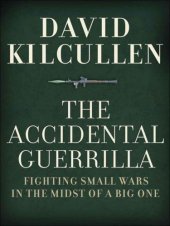 book The Accidental Guerrilla: Fighting Small Wars in the Midst of a Big One