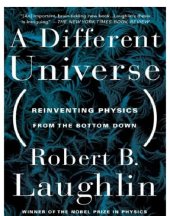 book A Different Universe: Reinventing Physics From the Bottom Down