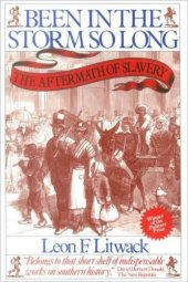 book Been in the Storm So Long: The Aftermath of Slavery