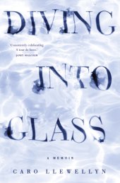 book Diving into Glass