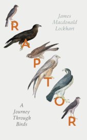 book Raptor: a Journey through Birds