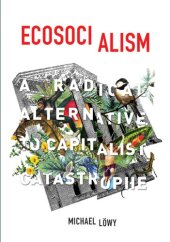 book Ecosocialism: a radical alternative to capitalist catastrophe