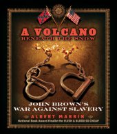 book Volcano Beneath the Snow: John Brown's War Against Slavery