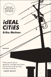 book Ideal Cities: Poems