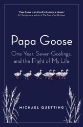 book Papa Goose