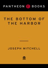 book The Bottom of the Harbor