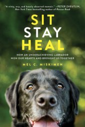 book Sit stay heal: how an underachieving Labrador won our hearts and brought us together