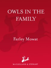 book Owls in the Family