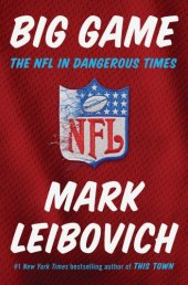 book Big game: the NFL in dangerous times