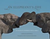 book An elephant's life: an intimate portrait from Africa