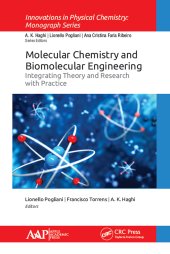 book Molecular Chemistry and Biomolecular Engineering-Integrating Theory and Research with Practice