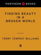 book Finding Beauty in a Broken World