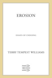 book Erosion: essays of undoing