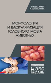 book Морфология и васкуляризация головного мозга животных